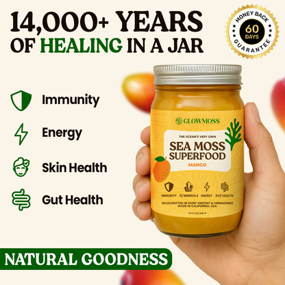Sea Moss Superfood Gel